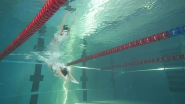 Professionele vrouwelijke zwemmer die in het water springt en onder water zwemt, jonge vrouw in een rode zwembroek die in het water traint. — Stockvideo