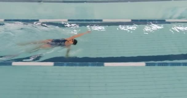 Молодая профессиональная женщина-пловец плавает в бассейне, женщина плавает и тренируется в воде, вид с высоты. — стоковое видео