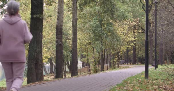 Bienestar, pareja adulta corriendo alrededor de un bosque Parque, día de otoño, hombre y mujer de pelo gris juega deportes en un parque de la ciudad, ejercicio aeróbico, vista trasera. — Vídeos de Stock