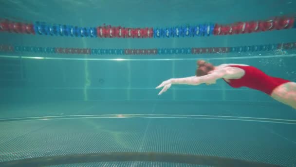 Havuzda profesyonel kadın yüzücüler, genç kadınlar senkronize yüzme elementleri sergiliyorlar, suyun altında güzel dans ediyorlar.. — Stok video