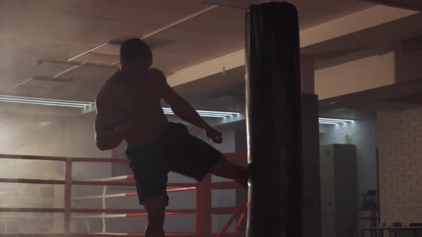 Kickboxing, atletico combattente allena i pugni, batte un sacco da boxe, giornata di allenamento in palestra di boxe. — Video Stock