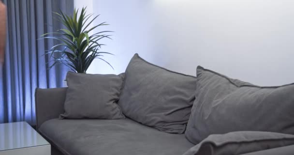 Молодой человек падает на диван в гостиной, мужчина отдыхает на диване и пользуется смартфоном, онлайн общение о самоизоляции. — стоковое видео
