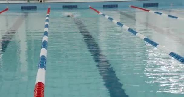 若いプロの女性スイミングプールで泳ぐ、女性の水泳や水の中でトレーニング. — ストック動画