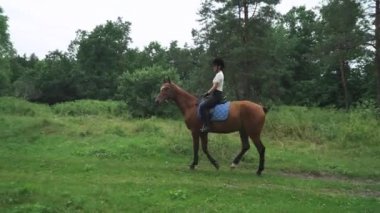 Ormanın yanında ata binen kadın binici, orman yolunda yürüyen at, ata binen at kadın..