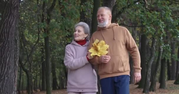 Pareja mayor en un paseo en un parque forestal, día de otoño, hombre y mujer de pelo gris caminando en un parque de la ciudad, momento romántico, estado de ánimo de otoño. — Vídeo de stock