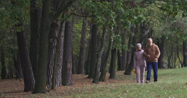 Pareja adulta en un paseo en un parque forestal, día de otoño, hombre y mujer de pelo gris caminando en un parque de la ciudad, se comunica y ríe, el estado de ánimo de otoño. — Vídeos de Stock