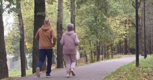 Спорт, взрослая пара бегает по лесному парку, осень, седой мужчина и женщина занимаются спортом в городском парке, аэробные упражнения, вид сзади. — стоковое видео