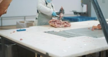Et işleme tesisi, kasap domuz leşleri, et üretimi ve gıda endüstrisi, et toplama süreci, işçiler et kesmek için ekipman kullanıyor.