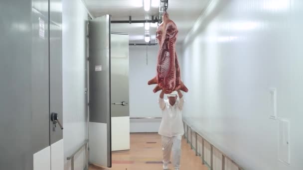 Παραγωγή κρέατος και βιομηχανία τροφίμων, ο εργαζόμενος μετακινεί ένα αιωρούμενο σφάγιο χοίρου, μονάδα επεξεργασίας κρέατος. — Αρχείο Βίντεο