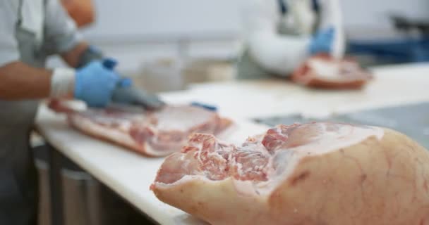 Impianto di lavorazione della carne, macelleria taglia le carcasse di maiale, bassa profondità di campo, produzione di carne e industria alimentare, il processo di raccolta della carne, lavoratore utilizza attrezzature per affettare la carne. — Video Stock