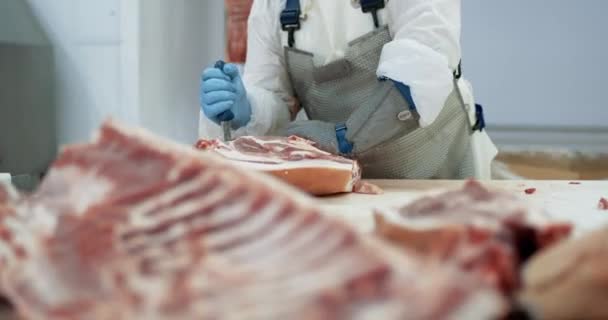 Fabrica de prelucrare a cărnii, măcelarul taie carcasele de porc, producția de carne și industria alimentară, procesul de recoltare a cărnii, lucrătorul folosește echipamente pentru tăierea cărnii . — Videoclip de stoc