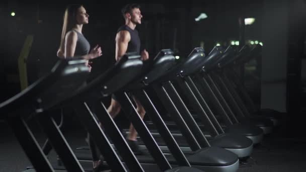 Wellness, kvinnlig och man idrottare springa på ett löpband, två löpare utför aerob träning och uthållighet träning i gymmet, nattliv. — Stockvideo