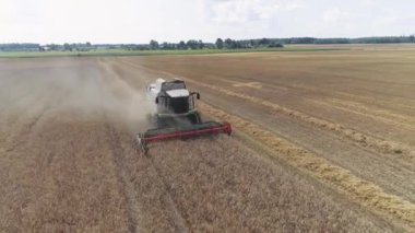 BELARUS, MINSK - 2 Haziran 2019: Kırsal ve tarım, tarla üzerinde uçmak, hasat yulaflarını birleştirmek, yükseklikten manzara.