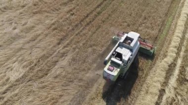 Kırsal ve tarım, tarlanın üzerinden uçmak, yükseklikten manzara biçerdöveri birleştirmek yulafları yok eder.