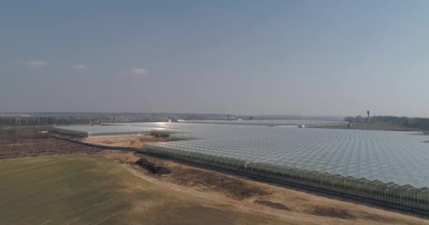 ガラス温室の上を飛んで、大規模な工業用温室で成長している植物、高さからのパノラマビュー、ガラス表面の反射。4k映像. — ストック動画