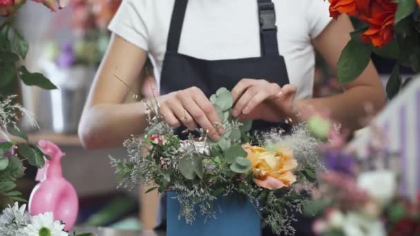 Giovane fiorista femmina raccoglie un mazzo di fiori in una scatola, donna allegra che lavora in un negozio di fiori e piante, interni multicolore. — Video Stock