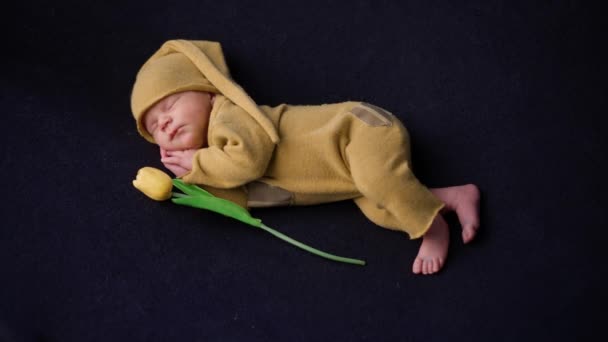 Serenità, un neonato che dorme tranquillamente accanto a un fiore di tulipano su una coperta scura, fotografia professionale di bambini, natura morta. — Video Stock