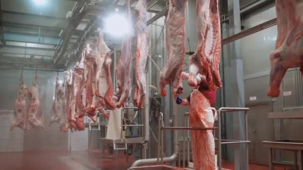 Macellai professionisti al lavoro in un impianto di lavorazione della carne, macellai maschi tagliare carcasse di manzo, produzione di carne e industria alimentare, il processo di raccolta della carne, lavoratori utilizza attrezzature per affettare. — Video Stock