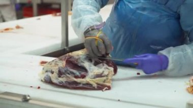 Et işleme tesisi, profesyonel kasap et leşlerini keser, et üretimi ve gıda endüstrisi, et toplama süreci, işçiler et kesmek için ekipman kullanır.