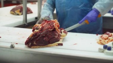 Et işleme tesisi, profesyonel kasap et leşlerini keser, et üretimi ve gıda endüstrisi, et toplama süreci, işçiler et kesmek için ekipman kullanır.