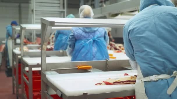 Măcelarii profesioniști taie carcasele de carne de vită, producția de carne și industria alimentară, procesul de recoltare a cărnii, lucrătorii folosesc echipamente pentru tăierea cărnii . — Videoclip de stoc