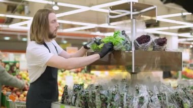 Adam ürünleri raflara koyar, işçi yeşil salata paketlerini organik bir mağazanın raflarına koyar, bakkalda çalışır..