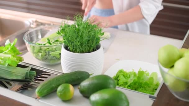 Κάνοντας smoothies, θηλυκό ετοιμάζει μια σαλάτα στην κουζίνα, κόβει βότανα και πράσινα λαχανικά για να κάνει μια υγιή smoothies, χορτοφαγία. — Αρχείο Βίντεο