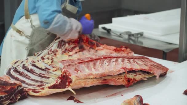 Le boucher professionnel coupe les carcasses de bœuf, la production de viande et l'industrie alimentaire, le processus de récolte de la viande, le travailleur utilise du matériel pour trancher la viande, l'usine de transformation de la viande. — Video