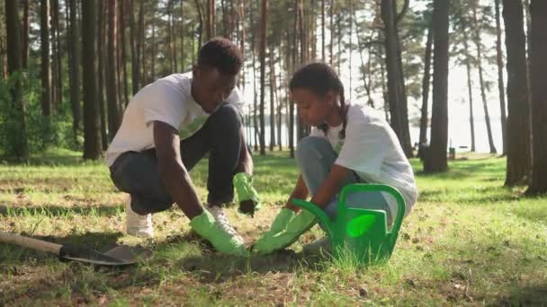 Voluntarios eco-activista plantación de plantas, el hombre africano y la niña se preocupan por la naturaleza, plantación de plantas en el campo, 4k cámara lenta. — Vídeos de Stock