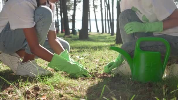 Dos mujeres eco-activistas plantando plantas, trabajo voluntario para la conservación de la naturaleza, plantando plantas en el campo, 4k cámara lenta. — Vídeos de Stock