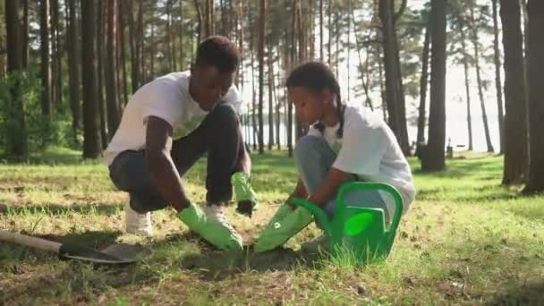 Voluntários eco-ativista plantio de plantas, homem africano e menina cuidado com a natureza, plantio de plantas no campo. — Vídeo de Stock