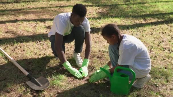 Volontari eco-attivista piantare piante, afro-americano uomo e ragazza cura della natura, piantare piante nel campo, 4k rallentatore. — Video Stock