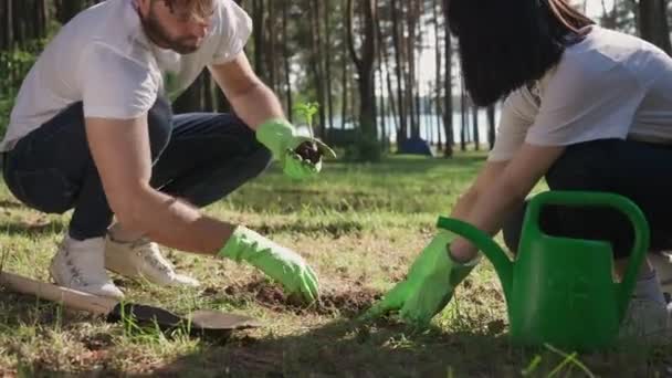 Eco-activista plantando plantas, hombre y chica asiática se preocupan por la naturaleza, plantando plantas en el campo. — Vídeos de Stock