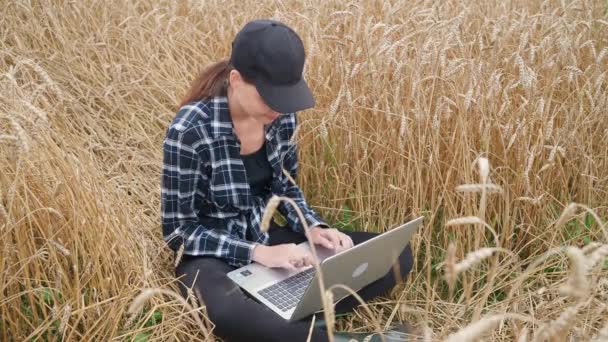 Ecologista femminile si siede in un campo e lavora in un computer portatile, il lavoro a distanza e l'auto-isolamento in natura, sms testo e navigare in Internet mentre seduto nel campo della segale. — Video Stock