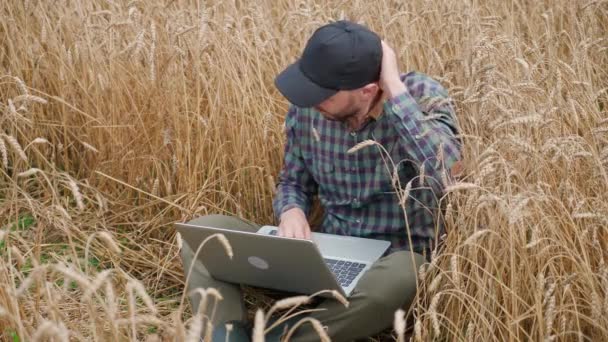 L'ecologista uomo si siede in un campo e lavora in un computer portatile, il lavoro a distanza e l'auto-isolamento in natura, sms testo e navigare in Internet mentre seduto nel campo della segale. — Video Stock