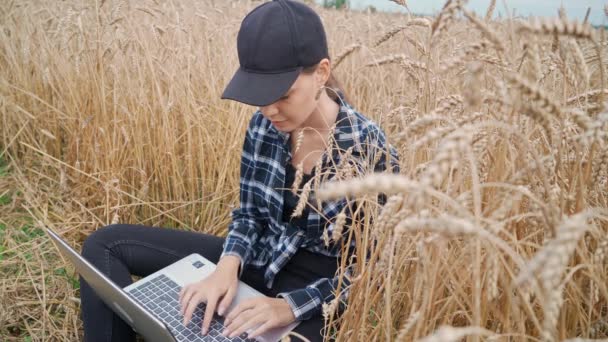 Young female ecologist sits in a field and works at a laptop, remote work and self-isolation in nature, texting text and surf the internet while sitting in the field of rye, 4k slow motion. — Stock Video