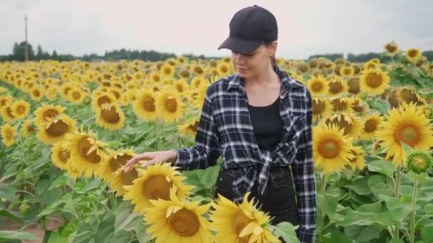 Platteland, boer vrouwelijke loopt door een veld van zonnebloemen en loopt haar hand over de gele bloemen, 4k Slow motion. — Stockvideo