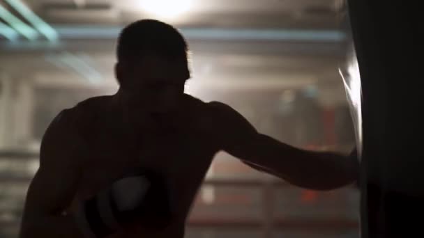 Kickboks, atletik boksör yumruklarını geliştirir, kum torbasını döver, boks salonunda antrenman yapar, ayaklarıyla vurur, sırtını aydınlatır.. — Stok video