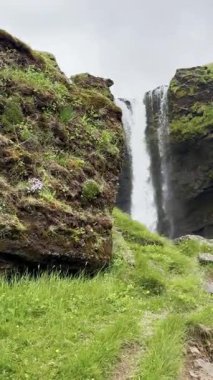 İzlanda şelalesi manzarası, İzlanda doğasının güzel manzarası ve dünya dokusunun huzur manzarası, şelale manzarası, yeşil kayalık arazi arka planı..