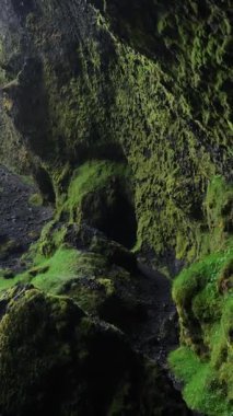İzlanda, bir mağaranın içi, yeşil İzlanda doğasının dikey videosu, dinginlik, su akışı manzarası, yeşil yosun ve kayalık arazi doğası..