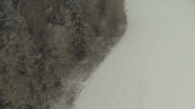 karla kaplı orman üzerinde uçuş