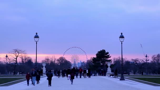 Jardin des Tuileries με Εξώλης de paris το βράδυ στο Παρίσι — Αρχείο Βίντεο