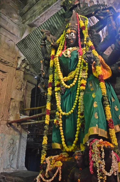 Dea Kaali Statua Meenakshi Amman Tempio Madurai Tamil Nadu — Foto Stock