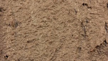 Olma kuru epik manzara Timelapse arazi