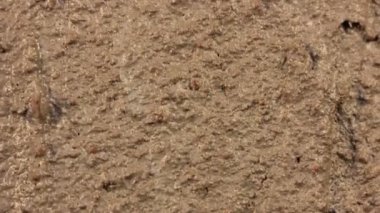 Olma kuru epik manzara Timelapse arazi