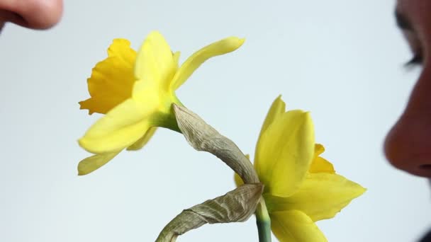 Pareja enamorada oliendo flores narcisas amarillas — Vídeo de stock