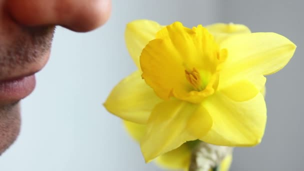 Man ruiken Narcissus bloem geel — Stockvideo