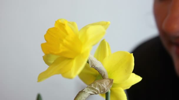 Pareja enamorada oliendo flores narcisas amarillas — Vídeos de Stock