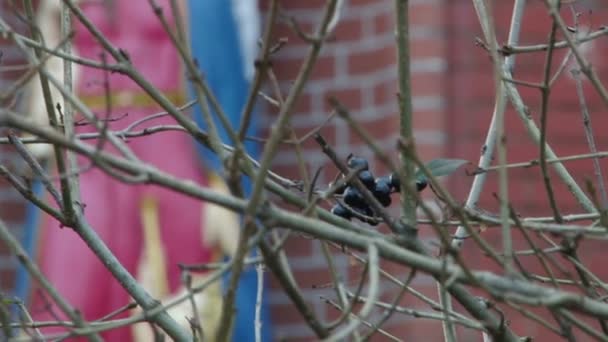 Confession catholique Église Saints 