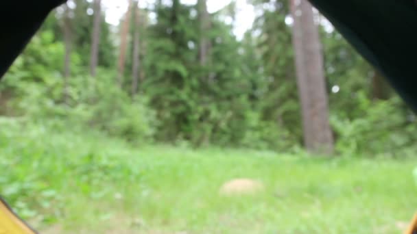 Im Zelt auf dem Wald — Stockvideo